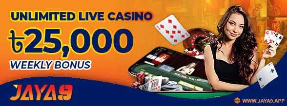 Casino Experience